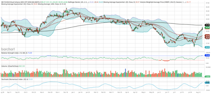 Chart Advisor: Analyzing Brazil ETF Rally