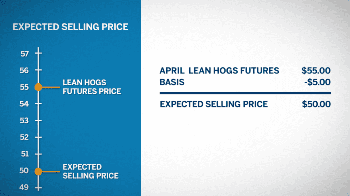 Establishing A Floor Price by Buying Livestock Put Options