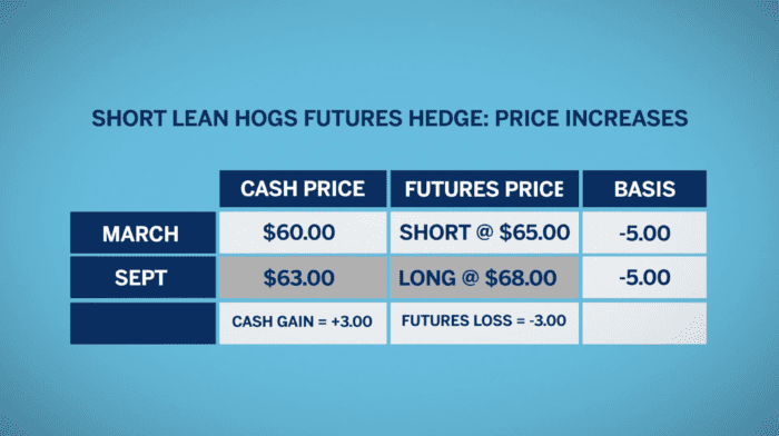 Selling Futures for Protection Against Falling Livestock Prices