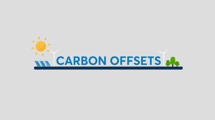 Understanding the carbon offset market