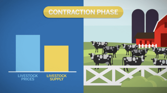 Understanding Seasonality: Livestock