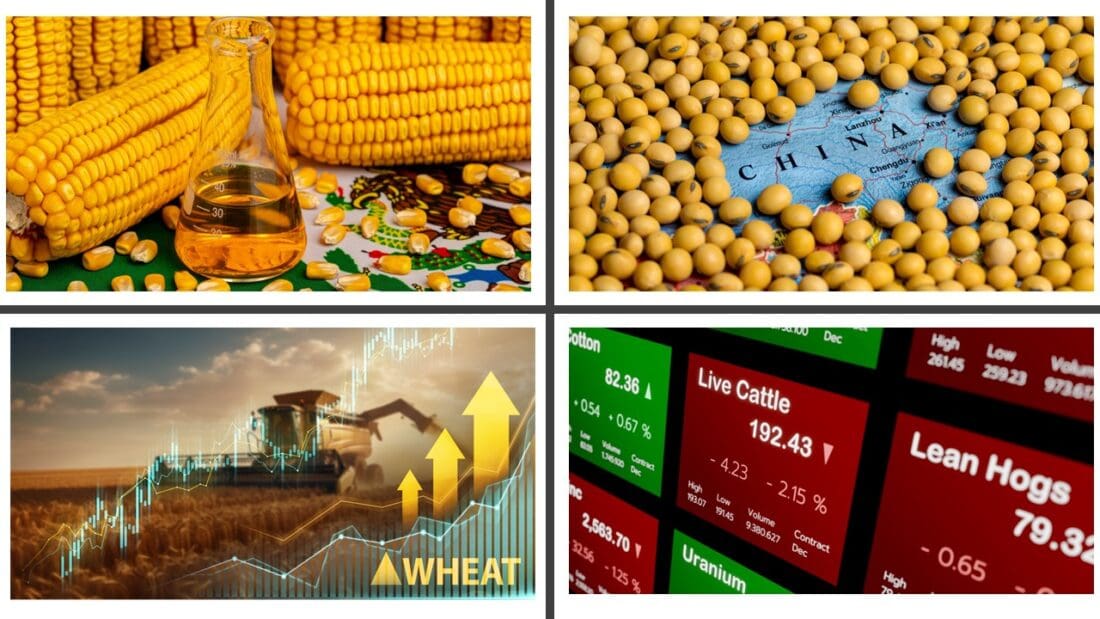 corn, wheat, soybeans, livestock