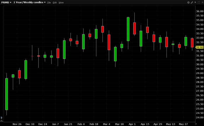 2,300 Calls Trade in Primo Brands Corporation (Symbol: PRMB)