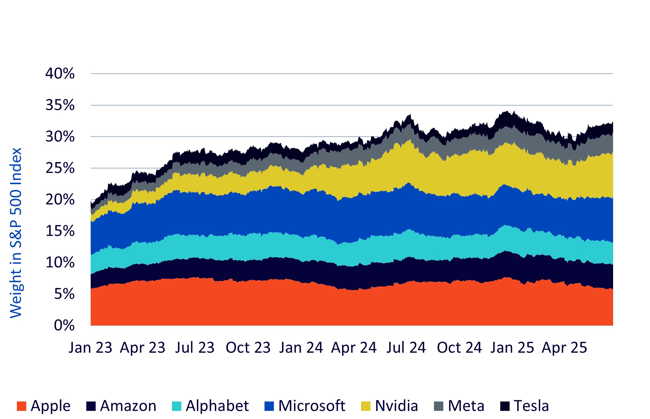 Why the Magnificent 7 are still magnificent