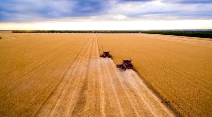 Above the Noise: Rate cuts, productivity gains, and gold surge