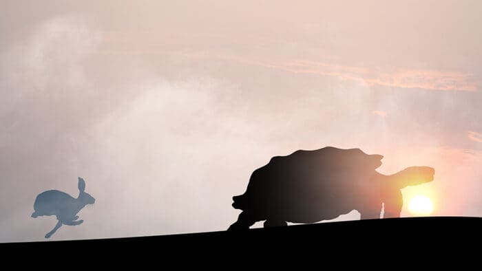 China’s Stock Market Looks To Be In A Bit Of A Hare-y Situation