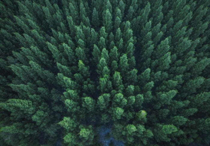 Research Sector Update: Encouraged by numerous secular growth trends