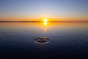 Global smaller companies: primed to outgrow the giants in 2026 Global smaller companies: primed to outgrow the giants in 2026